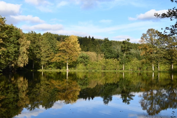 Berghaeuser Weiher - (c) R Herling.jpg